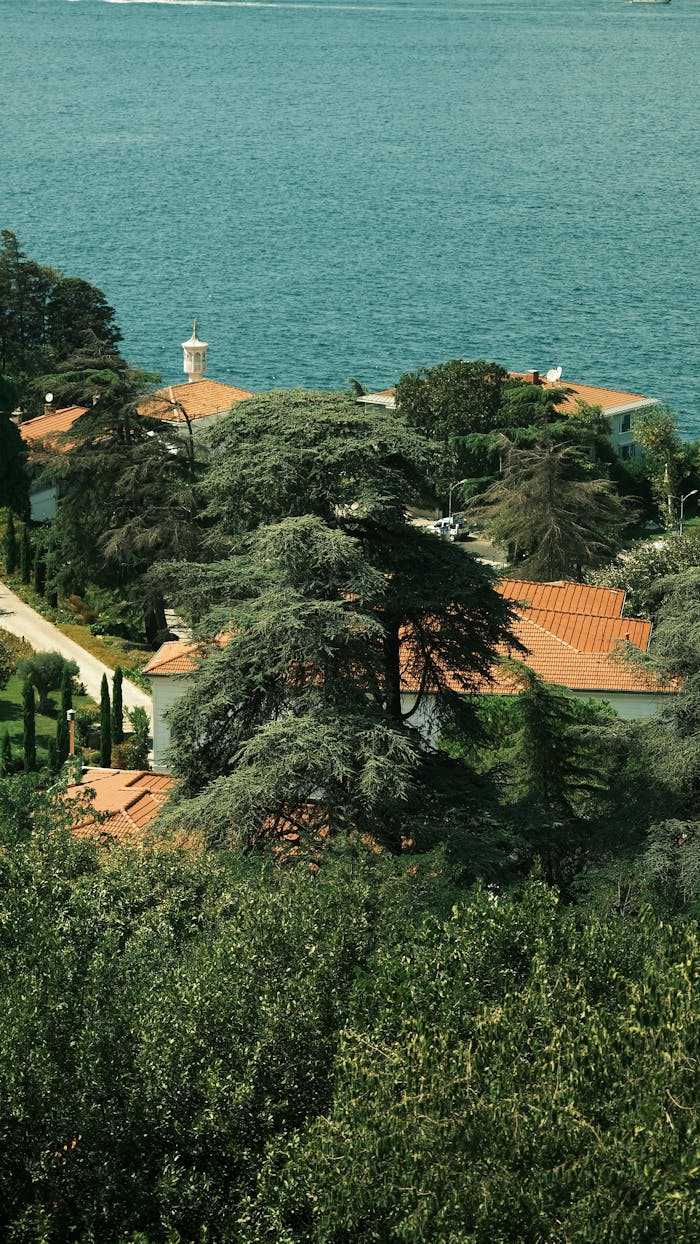 Crafting Captivating Headlines: Your awesome post title goes here Aerial view of a Mediterranean villa with trees and ocean backdrop.